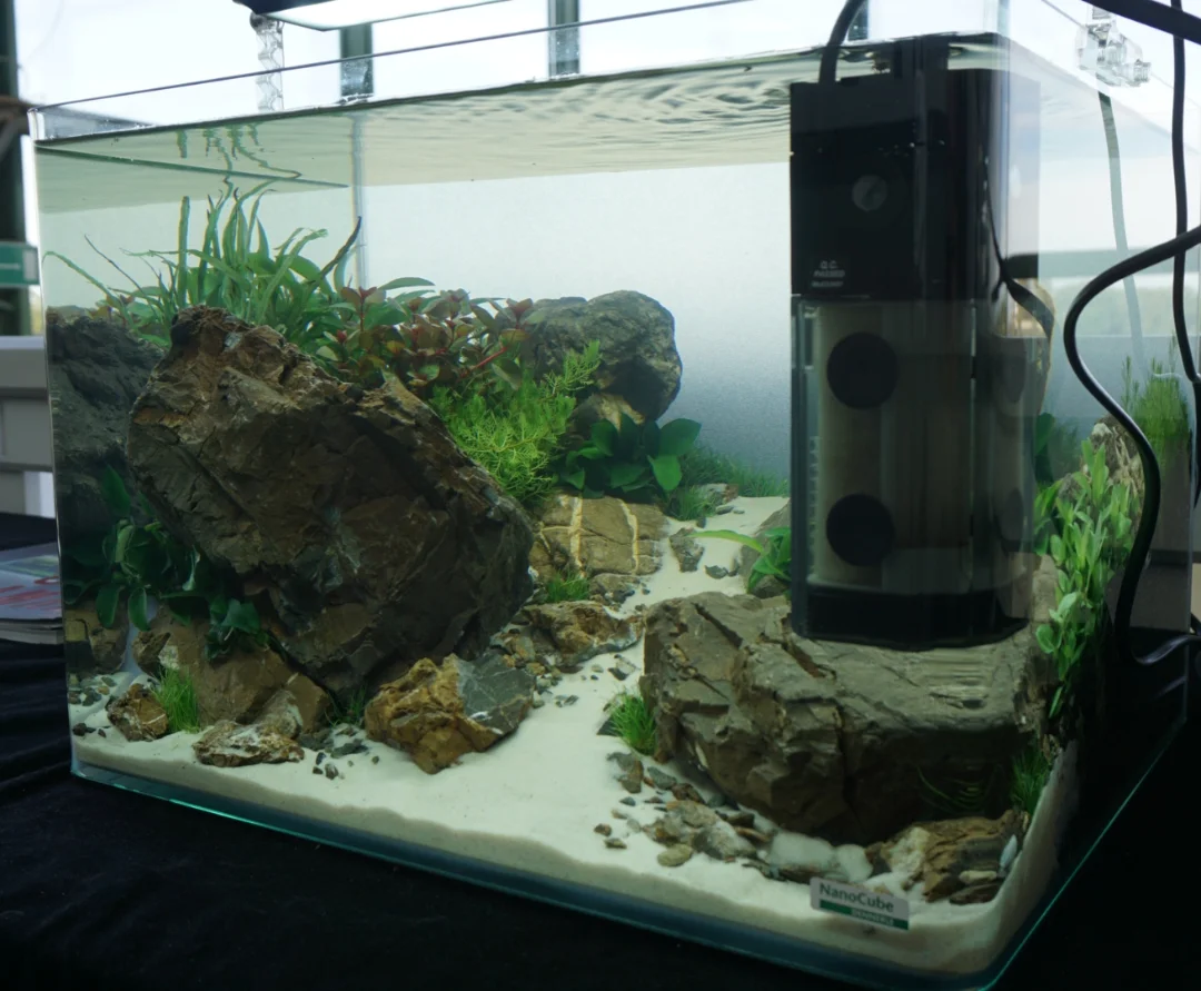 Die richtige Aquarium Technik: Filter, Beleuchtung, CO₂ & Heizung einfach erklärt