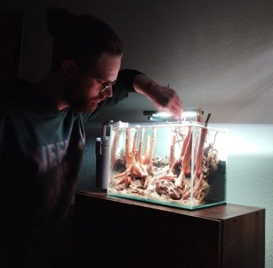 Mann arbeitet an einem Glasbehälter mit Wasserpflanzen und Holzdekoration.